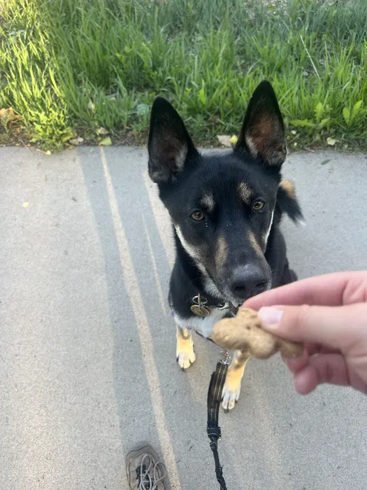 The Biscuit Barkery of N. Colorado 7