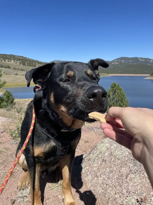The Biscuit Barkery of N. Colorado 8