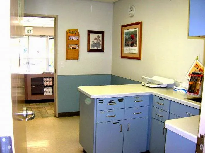 Alpine Animal Hospital, A Thrive Pet Healthcare Partner 5