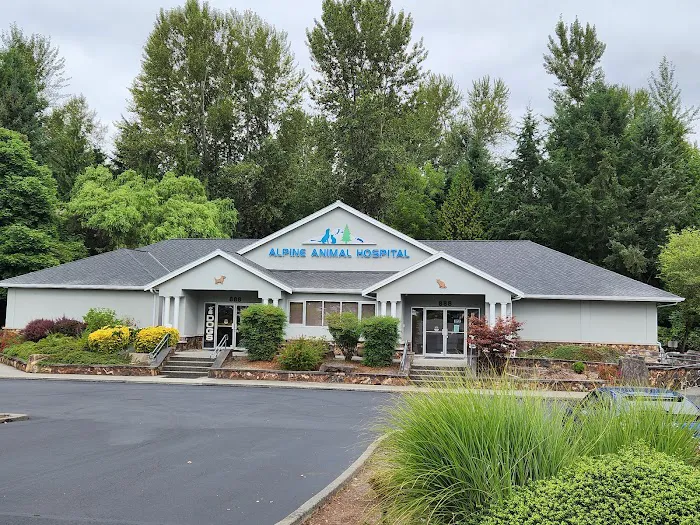 Alpine Animal Hospital, A Thrive Pet Healthcare Partner 8