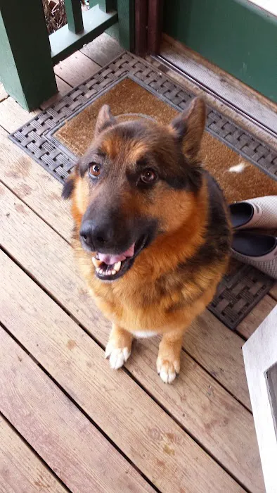 Alpine Animal Hospital, A Thrive Pet Healthcare Partner 1