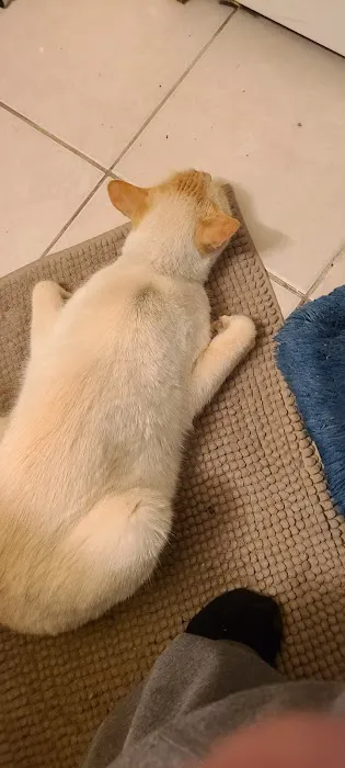 Petco 1