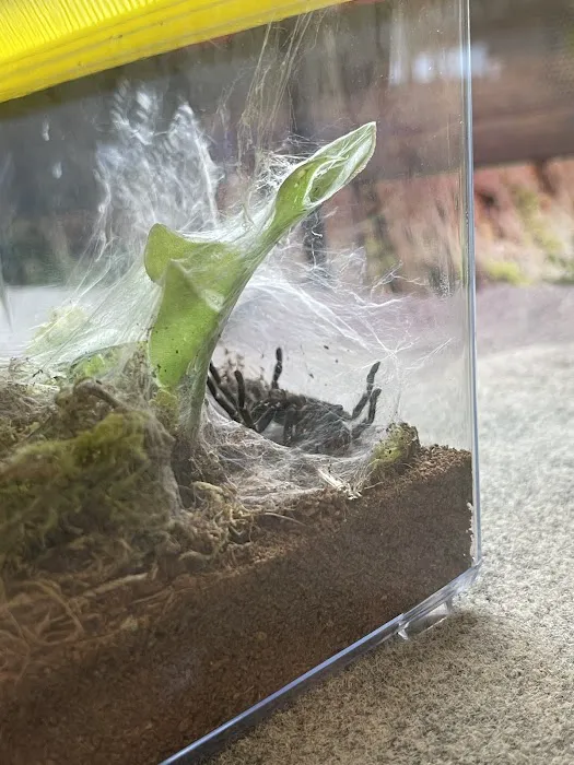 Petco 5