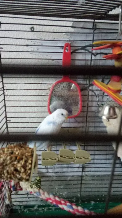 Petco 7
