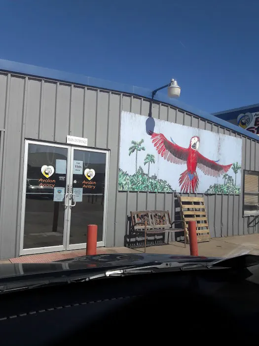 Avalon Aviary Bird Store 8