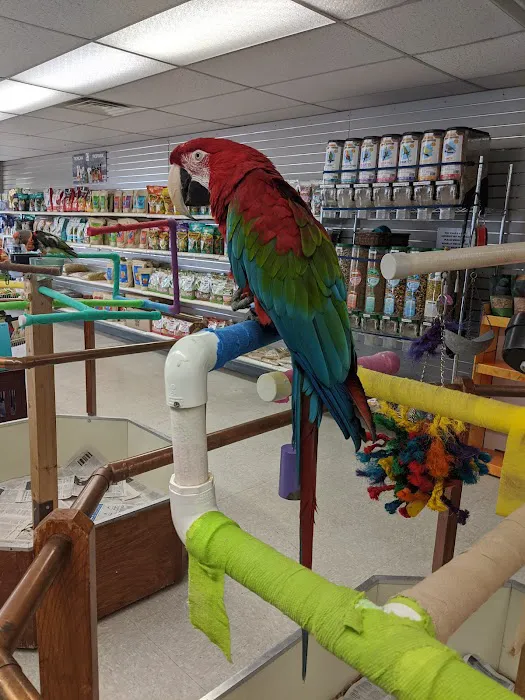 Avalon Aviary Bird Store 9