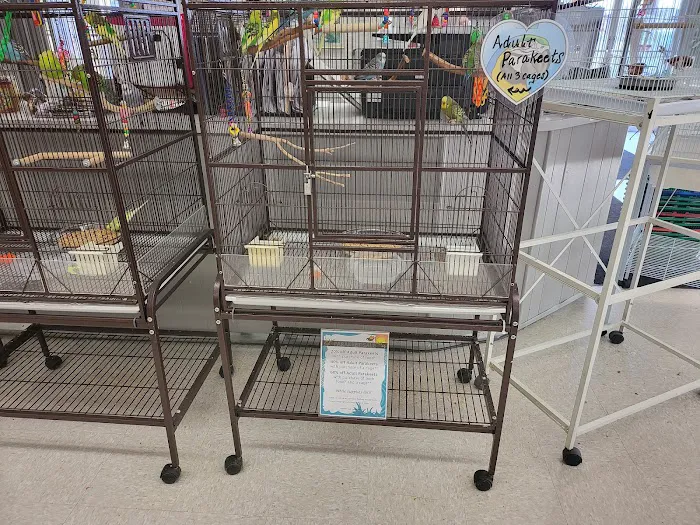 Avalon Aviary Bird Store 5