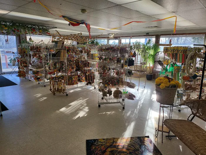 Avalon Aviary Bird Store 3