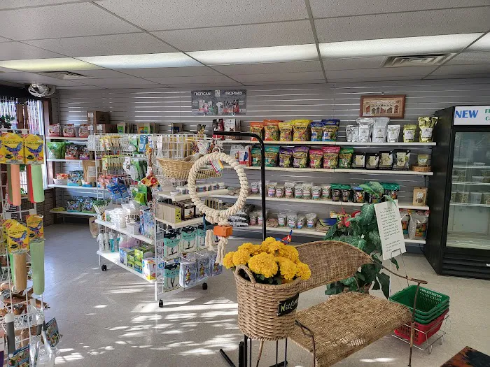 Avalon Aviary Bird Store 4