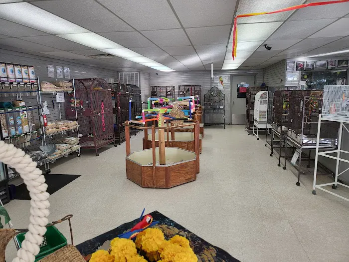 Avalon Aviary Bird Store 2