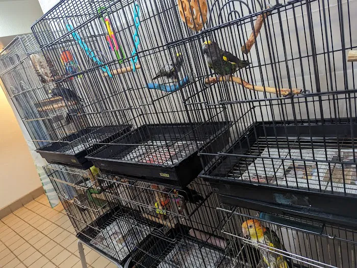 Avalon Aviary Bird Store 7