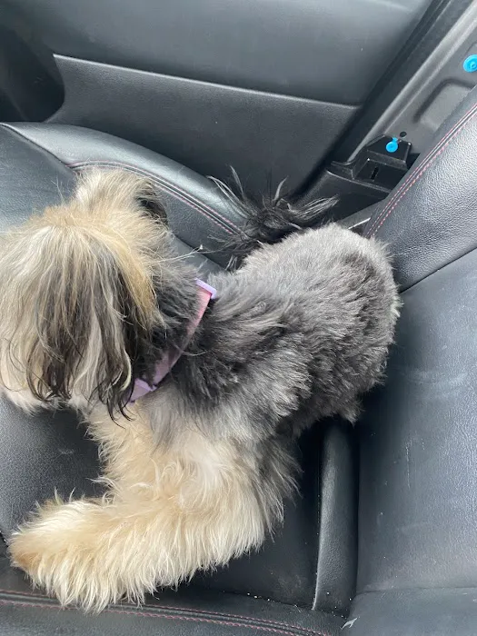 Petco 4