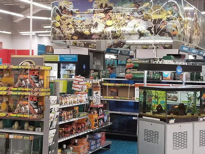 Petco 6