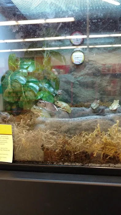 Petco 7