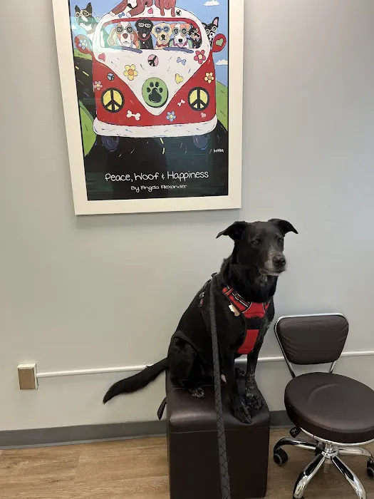 Issaquah Veterinary Hospital 8
