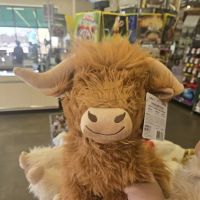 Pet Supplies Plus Ft. Collins ico