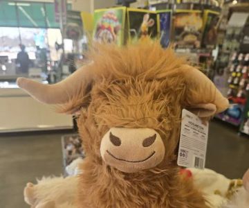 Pet Supplies Plus Ft. Collins