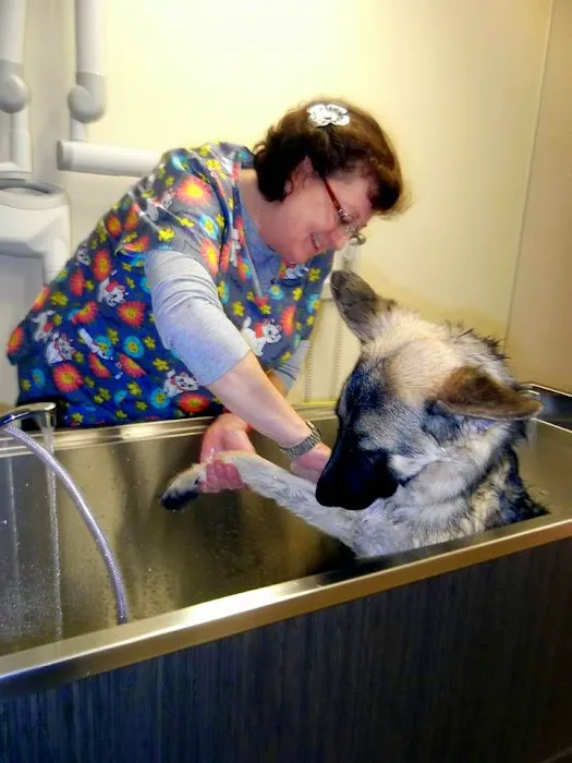 Annotto Bay Veterinary Clinic 2