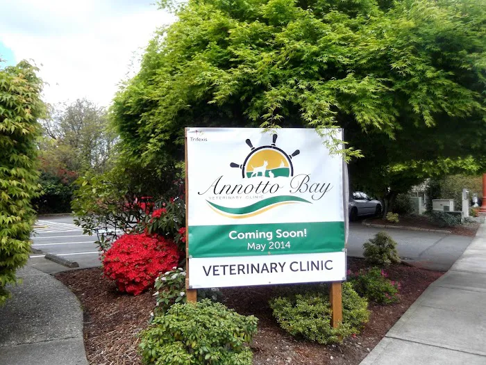 Annotto Bay Veterinary Clinic 6