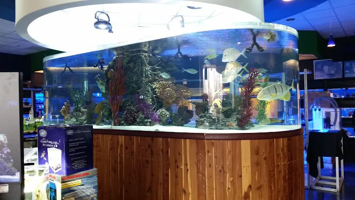 The Fish Crew 10