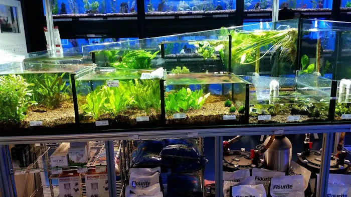 The Fish Crew 6