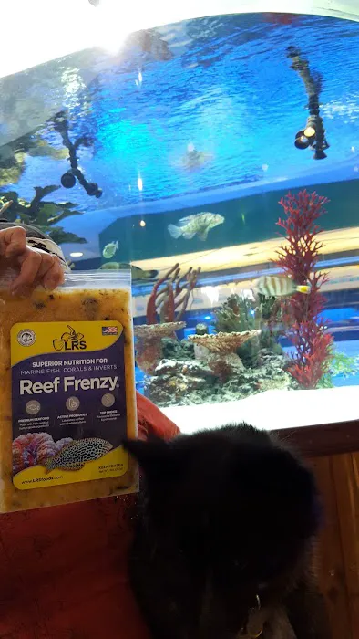 The Fish Crew 5