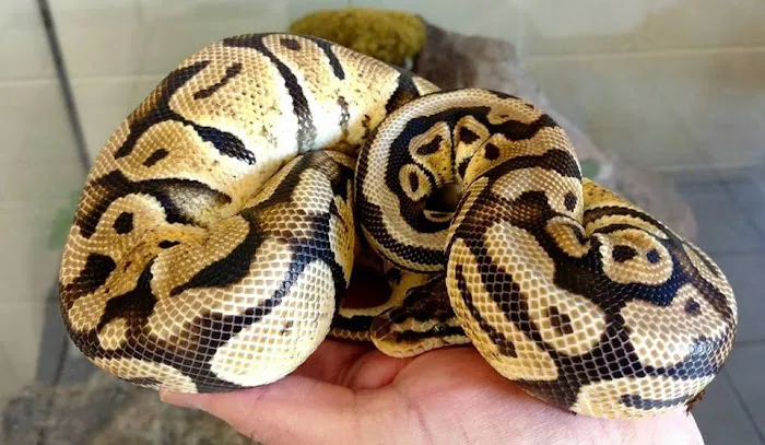 Feeders Unlimited 5