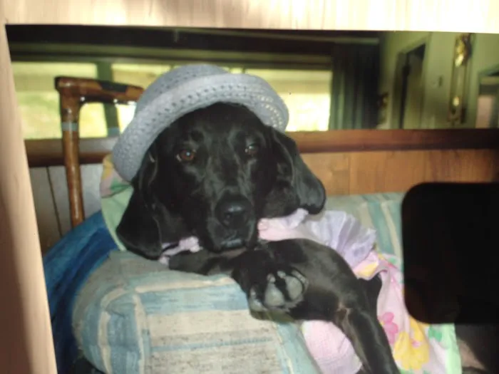 Fort Lawn Animal Hospital LLC 12