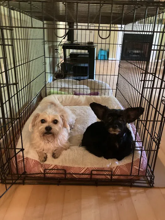 Fort Lawn Animal Hospital LLC 12