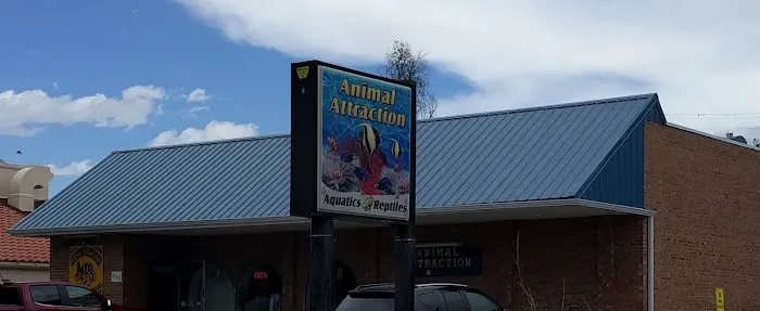 Animal Attraction 2