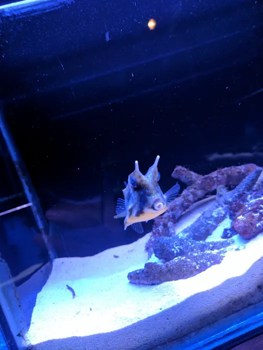 Animal Attraction 6