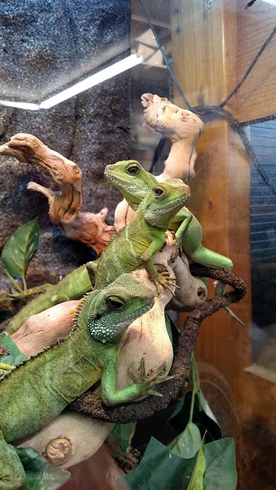 Animal Attraction 7