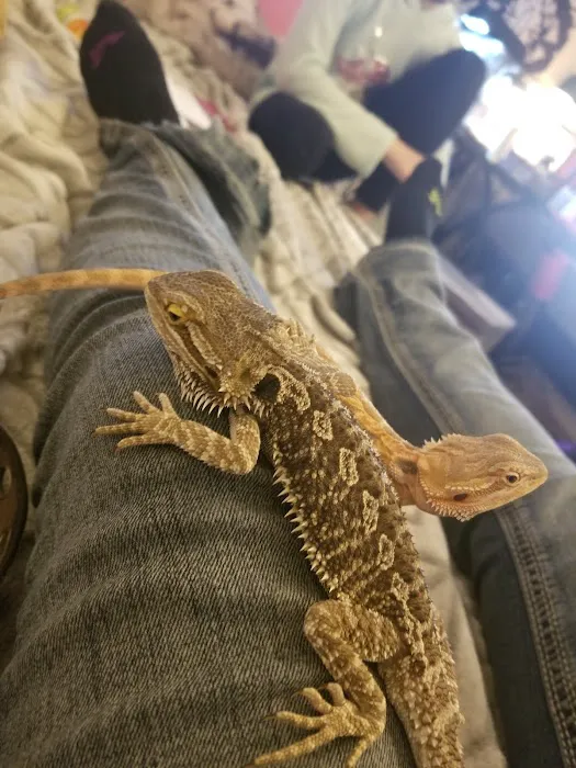 Scales 'N Tails Ft. Collins 4