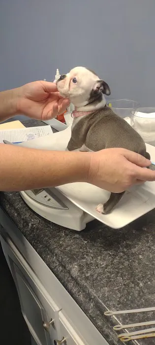 Carolina Place Animal Hospital 2