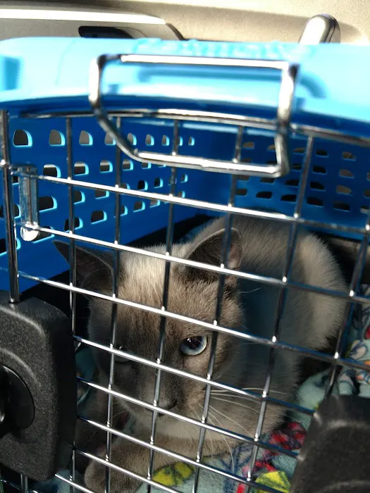 Carolina Place Animal Hospital 10
