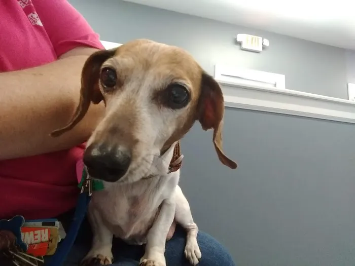 Carolina Place Animal Hospital 6