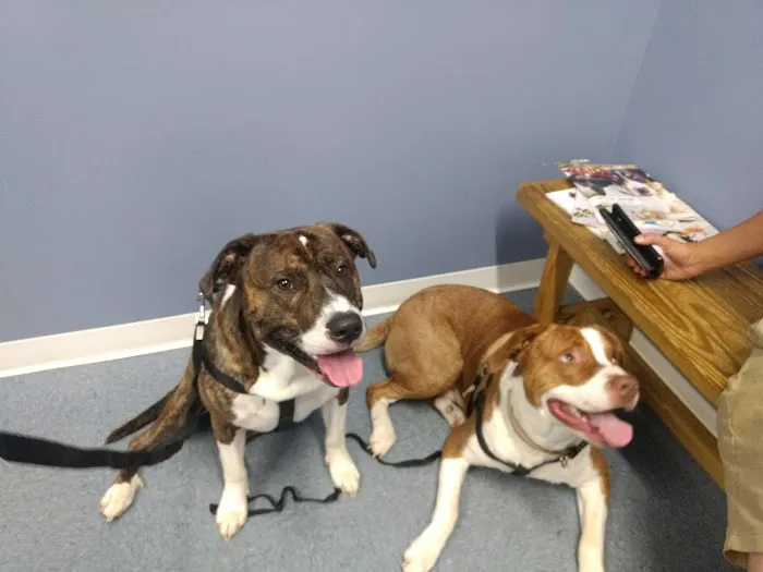 Carolina Place Animal Hospital 3