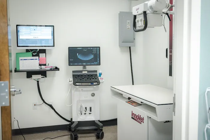 Dogwood Veterinary Clinic 4