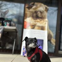Front Range Natural Pet ico