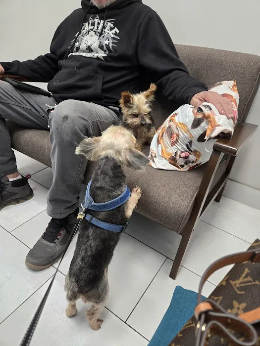 Embrace Veterinary Care-Animal Hospital-Richmond-Aliana 1