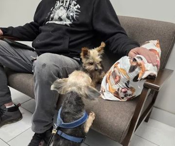 Embrace Veterinary Care-Animal Hospital-Richmond-Aliana