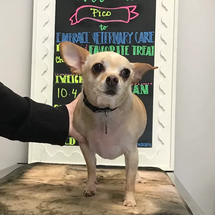 Embrace Veterinary Care-Animal Hospital-Richmond-Aliana 5