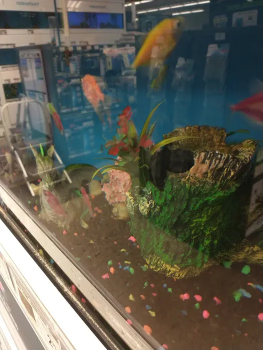 Petco 6