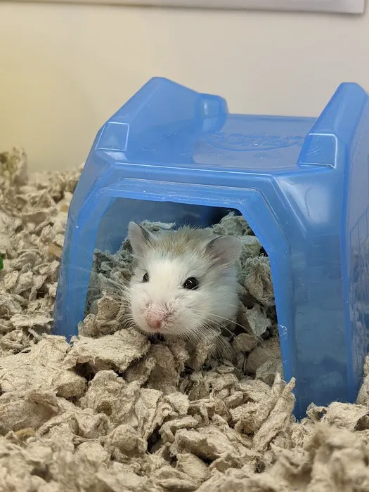 Petco 8
