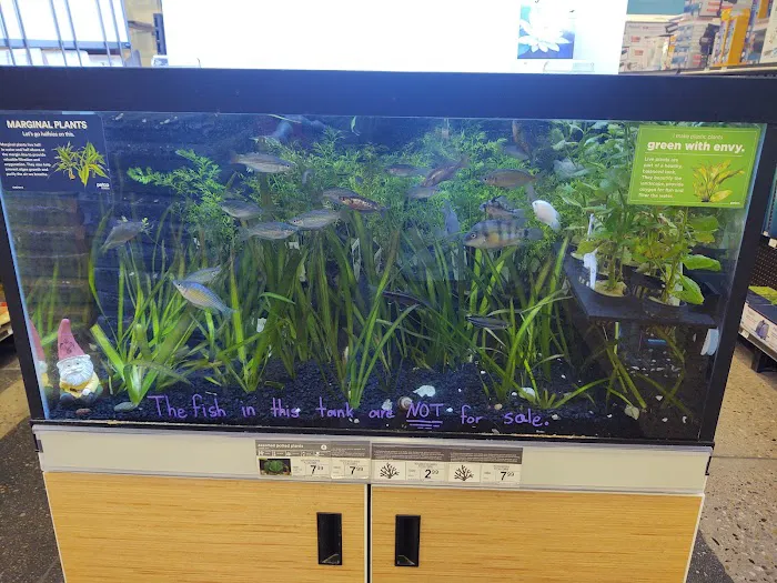 Petco 7