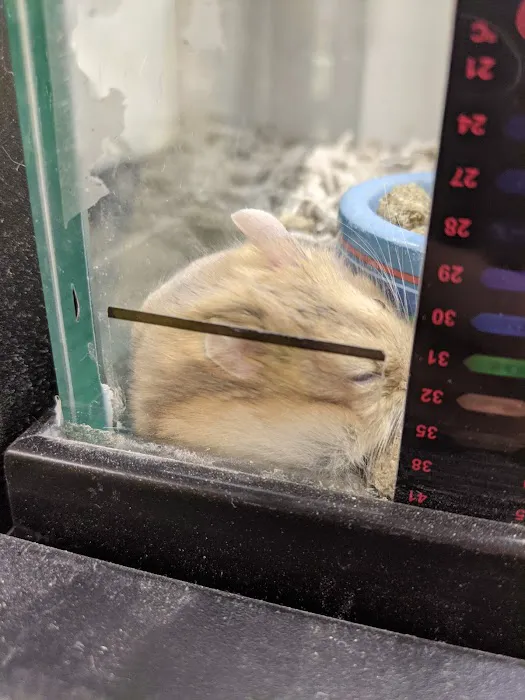Petco 9