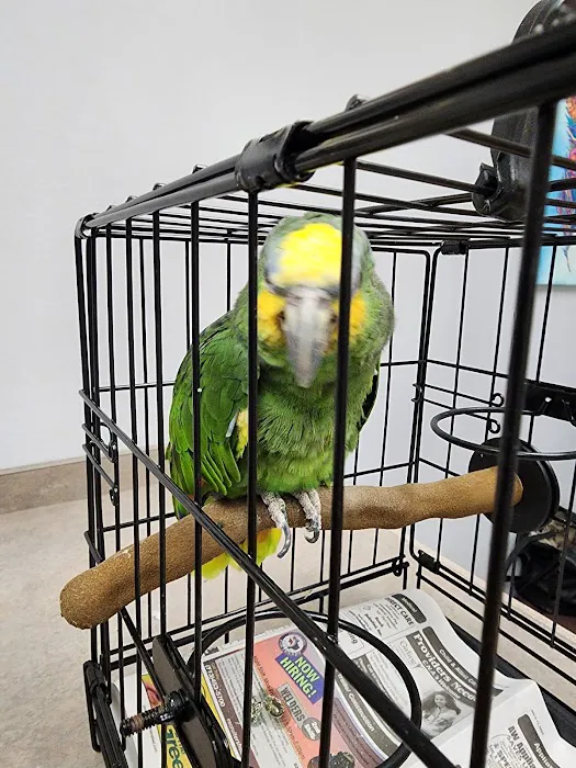 ABC Animal & Bird Clinic 1