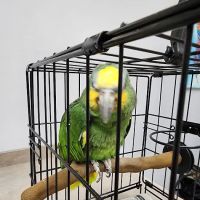 ABC Animal & Bird Clinic ico