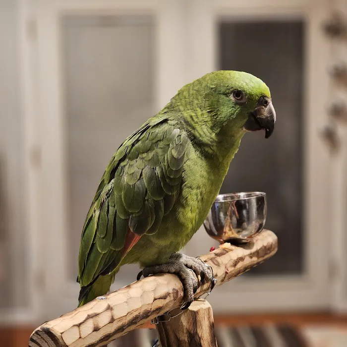 Exotic Bird Ranch 5