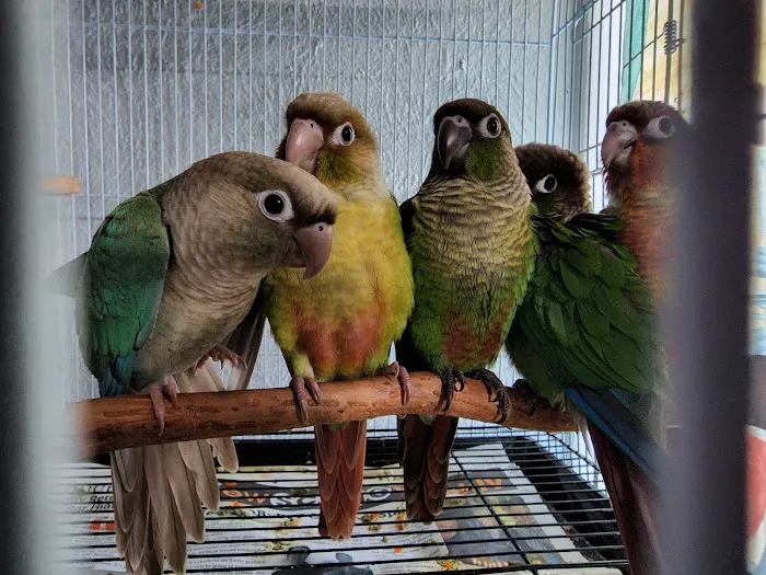 Exotic Bird Ranch 2